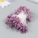Stamens for flowers "droplets gloss pink powder" set 300 pcs length 6 cm