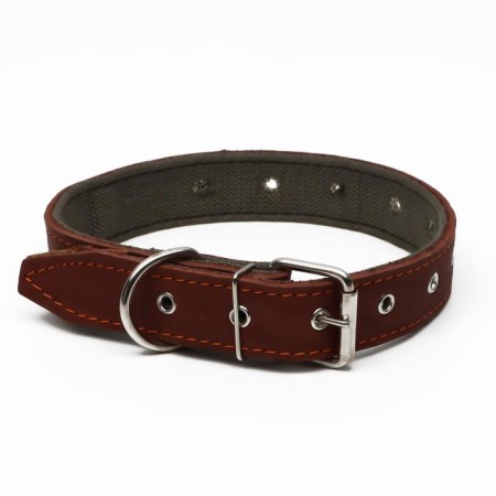 Collar combined leather/tarpaulin, dimensionless, 70 x 3.5 cm, Osh 25-60 cm, brown-1