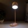Table lamp "Mimi" LED 3W Dimmer USB pink 8x12.5x32 cm Risalux