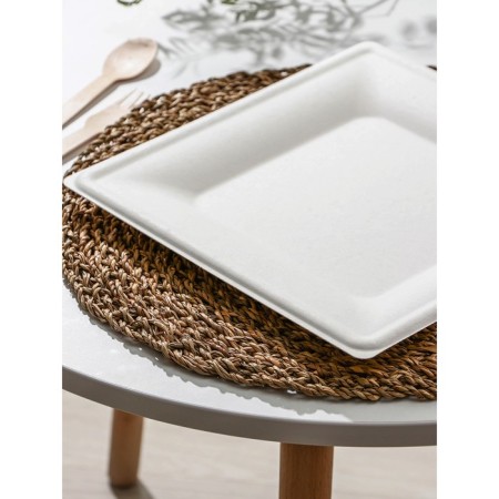 Disposable square plate ECO, 26 × 26 cm, sugarcane, white color-1