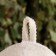 Bath cap with children's embroidery "Kitik"