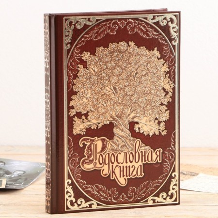 The genealogy book in the box "Tree of Life", 56 sheets, 20 x 26 cm-3