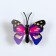 Magnet "Butterfly Beauty" 3.5 × 3 cm mix