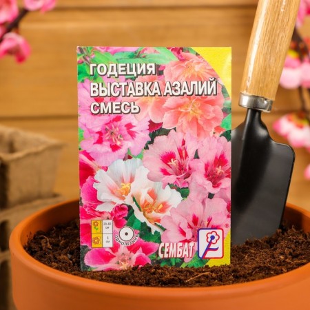 Flower seeds Godegia "Exhibition of Azalia", mixture, 0.1 g-2
