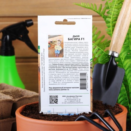 Bagira melon seeds, F, 5 pcs-3