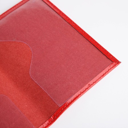 Cover for passport, red color-5
