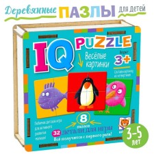 Wooden IQ puzzle 