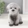 Figure "Puel Poodle" 14.5 x 10 x 14 cm.