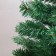 Blue spruce 120 cm, D of the lower tier 70 cm, 238 branches