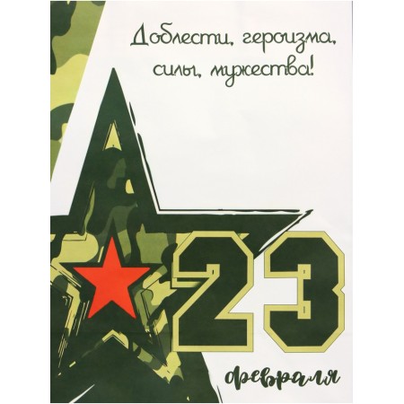Craft package "From February 23!" 21 x 11 x 27 cm-1