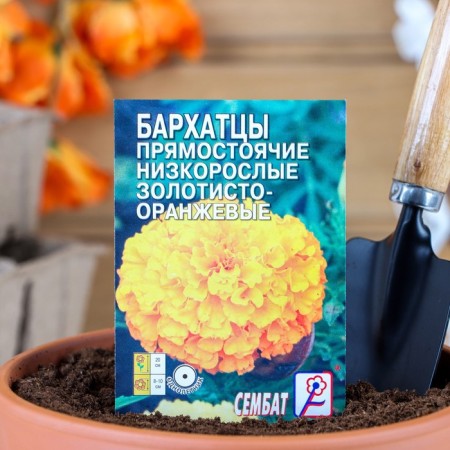 Flower seeds marigolds erect low-growing golden orange, o, 0.1 g