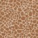 PVC tile Tarkett Lounge Benny DJ, 457 × 457, thickness 3 mm, 2.09 m2