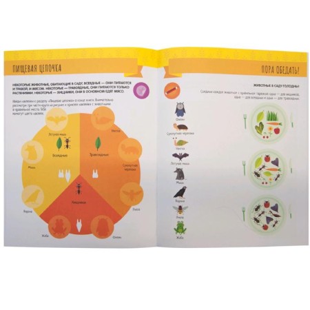 Montescorori method. Development through the game. In the garden. Activities with stickers, Piroddy K.-3