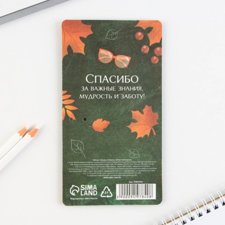 Set Stickers and pen “Best Teacher!”, 2 x 30 sheets, blue paste 0.7 mm-8