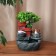 Fountain "House under a tree, stone tubs" 27x18 cm (with backlight, without ball)