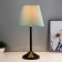 Eleanor desktop lamp 1x15W E27 Black/turquoise 22x22x42cm Risalux