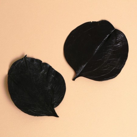 Dry leaves, set 2 pcs., Size 1 pcs: 6.5 × 7 cm