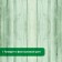 The antiseptic is unnecessary for responsible structures, Prosept Eco Ultra, ready -made solution, 5 liters