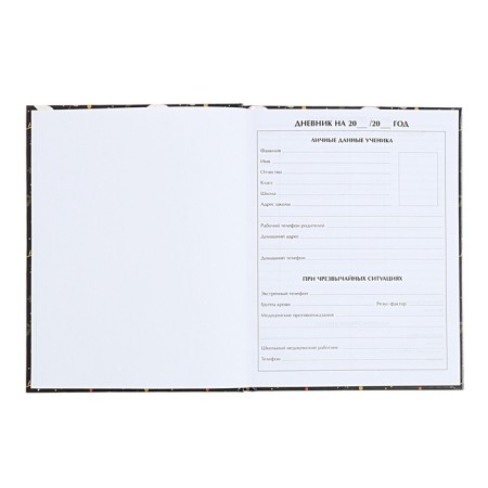 Universal diary for grades 1-11, "fox", solid cover 7BC, glossy lamination, 40 sheets-4