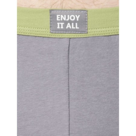 Men's panties, size 50, gray color-2