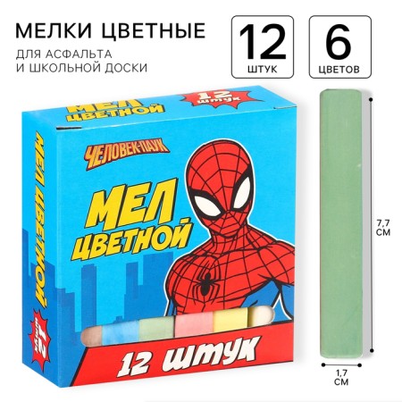 Set of school shallows, 12 pieces, spider-person