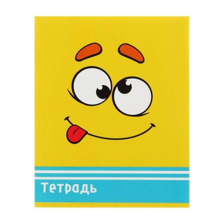 Notebook of 48 sheets in Calligrata Smiley, cover coated cardboard, offset block, mix-5