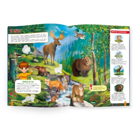 Atlas of Russia with stickers. My big country-2