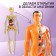 Set for experiments "body structure", human anatomy