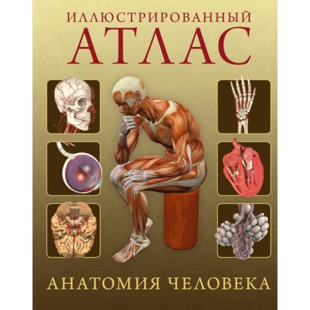 Illustrated Atlas. Human anatomy. Roubak J.