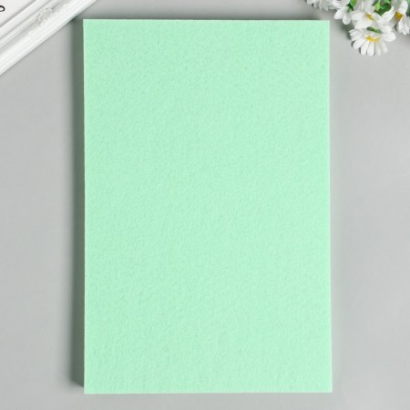 Hard felt 1 mm 20x30 cm ts.681 bl. Green-2