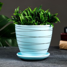 Flower pot 