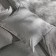 Sl Home sheet "Denim" 235*245 cm, central dark, 100% greedy cotton