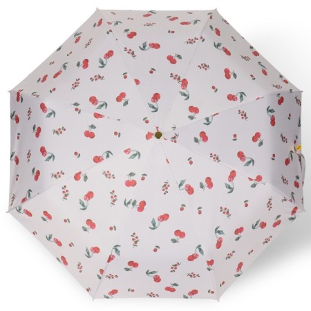 Automatic “Nature” umbrella, eponge, 3 addition, 8 spokes, r = 48 cm, color mix-11
