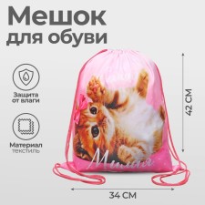 A bag for shoes 420 x 340 mm, Calligrata MSO-5C, (soft polyester, density 210D), 