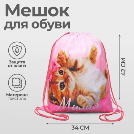 A bag for shoes 420 x 340 mm, Calligrata MSO-5C, (soft polyester, density 210D), "The smallest"