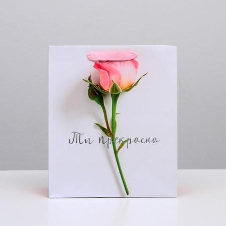 Package Gift Laminated Vertical, packaging, “You are beautiful”, Ml 23 x 27 x 11.5 cm-1