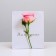 Package Gift Laminated Vertical, packaging, “You are beautiful”, Ml 23 x 27 x 11.5 cm