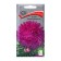 Flowers of Astra Vasilisa Beautiful, 0.3gr