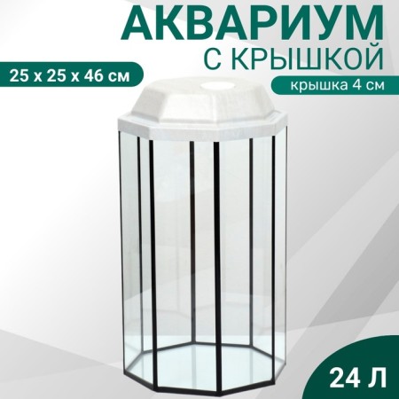 The Aquarium "Binogrand" with a lid, 24 liters, 25 x 25 x 46/50 cm, bleached oak