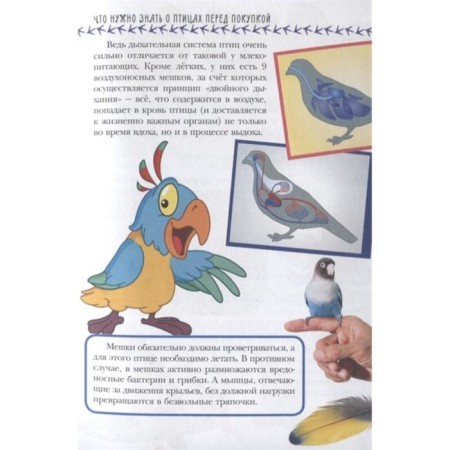 Birds. Aronova N. L.-2