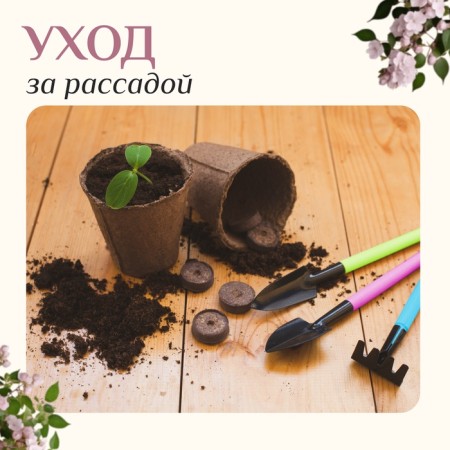 A set of garden tools, 3 objects: rake, 2 blades, length 21 cm, plastic handles, mix-4