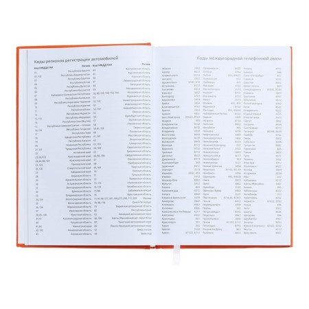 Dated diary 2024, A5, 176 sheets, Attomex.even, Bumvinyl cover, Lasse, Blok 70 g/m2, Orange-7