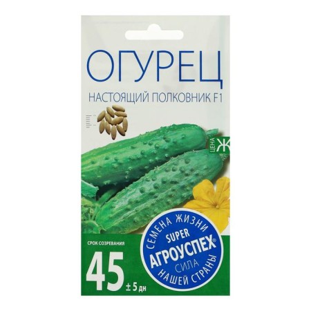Cucumber seeds real colonel F1, early, parthenocarpic, 8 pcs-2