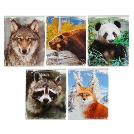 Notebook of 48 sheets in Calligrata "Wild Animals", cover coated cardboard, UV-lak, OFSET BOLK, MIX