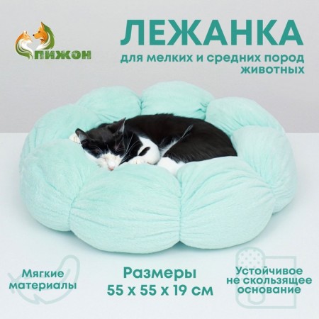 Lynchik for animals "Cloud", 55 cm, white-grinding