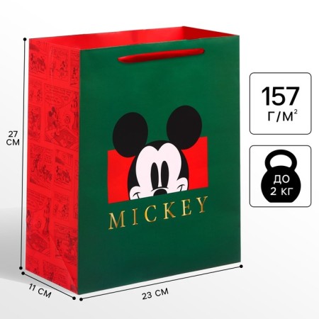 Gift package, 23x27x1 cm, packaging, Mickey Mouse