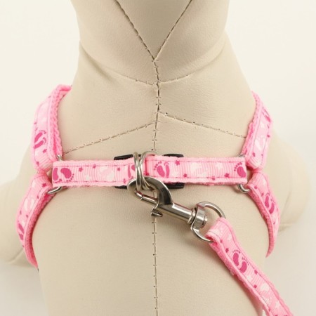Set "Color Transes", leash 120 x 1 cm, fire 23-35 cm, pink-3