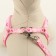 Set "Color Transes", leash 120 x 1 cm, fire 23-35 cm, pink