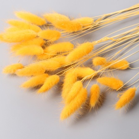 Dry Sukhotzet "Lagurus" 65 cm, yellow (packing 30 pcs, price per 1 pc)-3