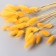 Dry Sukhotzet "Lagurus" 65 cm, yellow (packing 30 pcs, price per 1 pc)